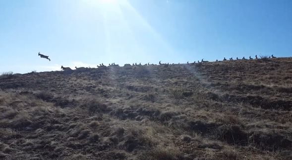  Burası Erzincan... O an böyle görüntülendi! 