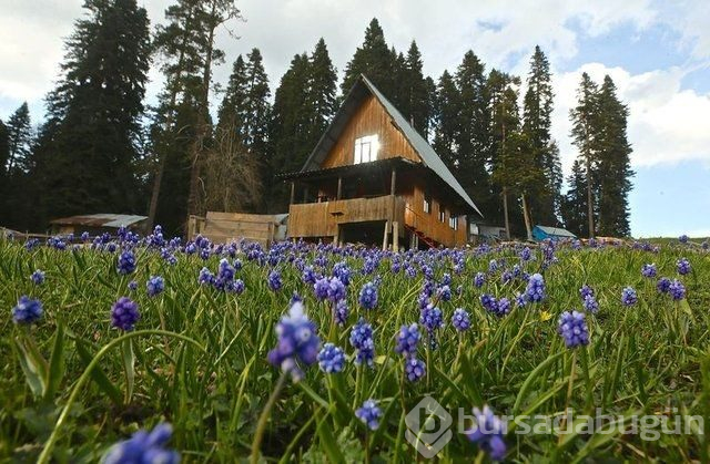  Batı Karadeniz yaylalarında iki mevsim güzelliği 