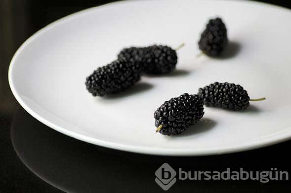  Baharın habercisi dutun faydaları saymakla bitmiyor 