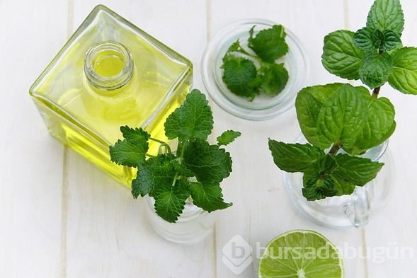  Hangi kokular iş yerinde verimliliği artırır? 