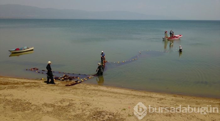  İznik Gölü'nde gümüş balığı bereketi 