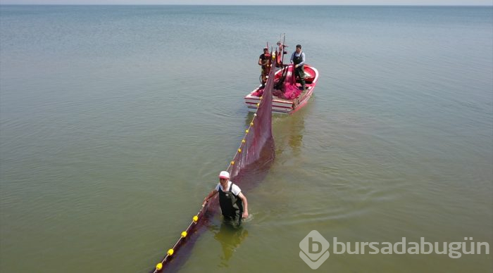  İznik Gölü'nde gümüş balığı bereketi 
