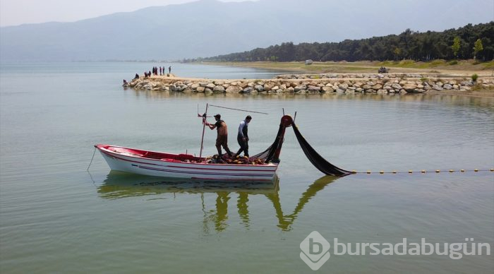  İznik Gölü'nde gümüş balığı bereketi 