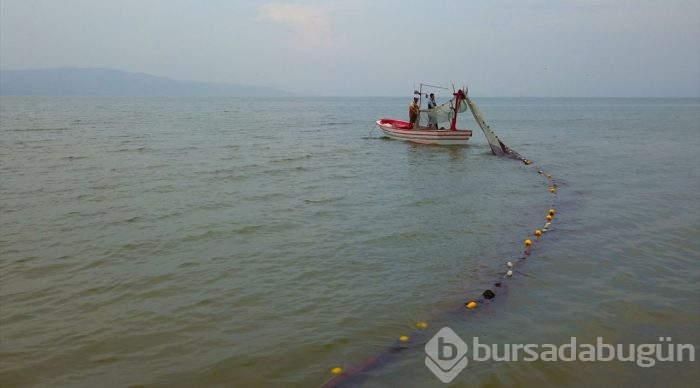  İznik Gölü'nde gümüş balığı bereketi 