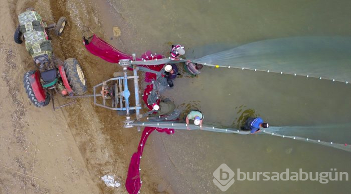  İznik Gölü'nde gümüş balığı bereketi 