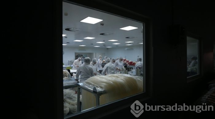  35 ülkeye "suni böbrek" ihraç ediyorlar 