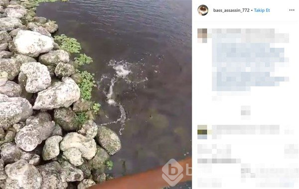 En ilginç balık avlama yöntemleri