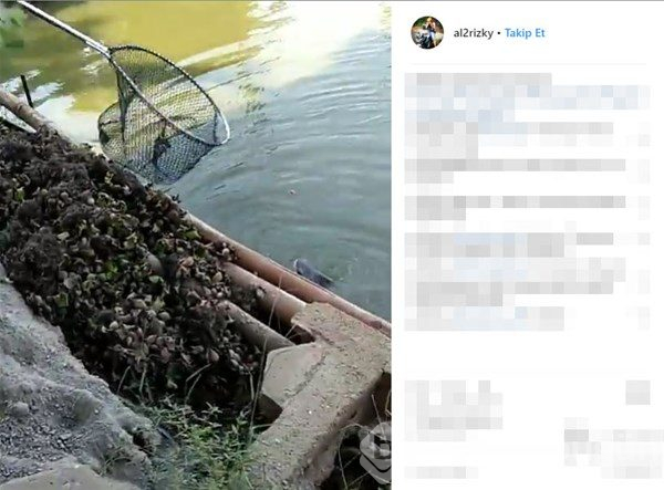 En ilginç balık avlama yöntemleri