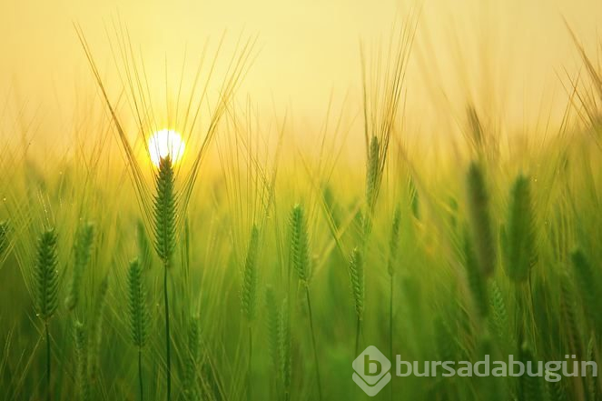 60 bin TL maaşla çalışacak gezgin aranıyor
