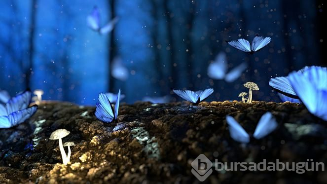 60 bin TL maaşla çalışacak gezgin aranıyor
