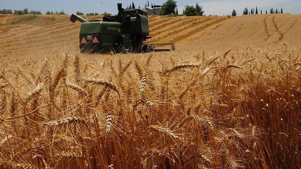 Gelecekte bu meslekler olmayacak! Yapay zeka onların yerini alacak
