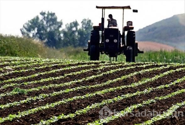 Gelecekte bu meslekler olmayacak! Yapay zeka onların yerini alacak
