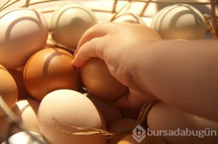 Her gün yumurta tüketiyorsanız dikkat!
