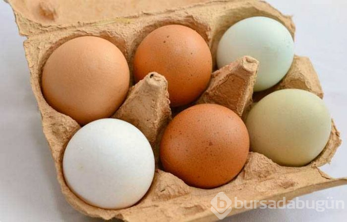 Her gün yumurta tüketiyorsanız dikkat!
