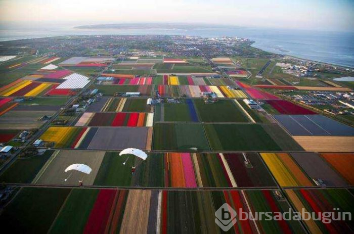 Günün en çok paylaşılan fotoğrafları (02.05.2019)