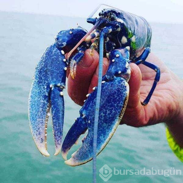 Günün en çok paylaşılan fotoğrafları (02.05.2019)