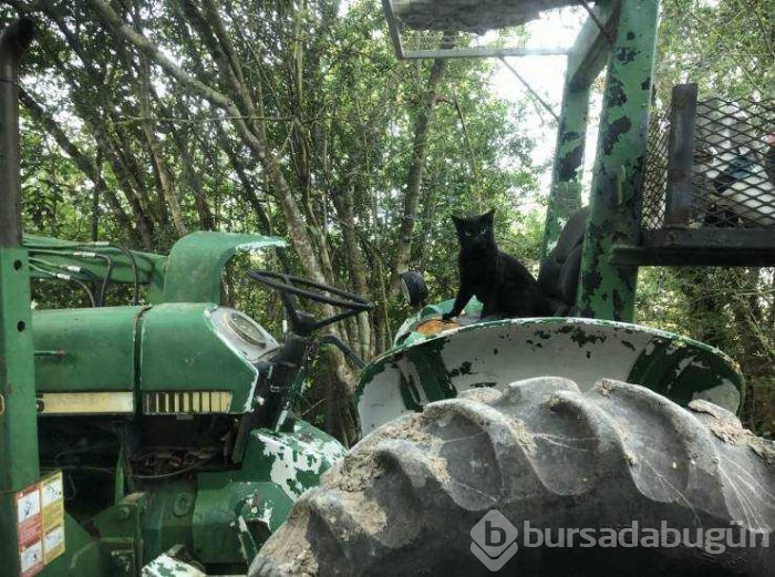 Günün en çok paylaşılan fotoğrafları (02.05.2019)