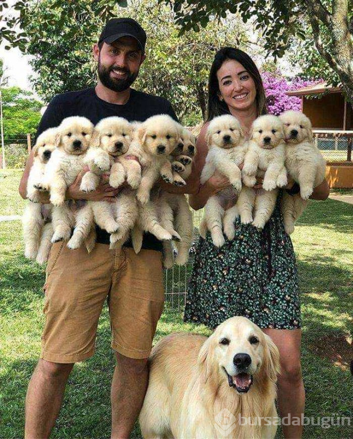 Günün en çok paylaşılan fotoğrafları (02.05.2019)