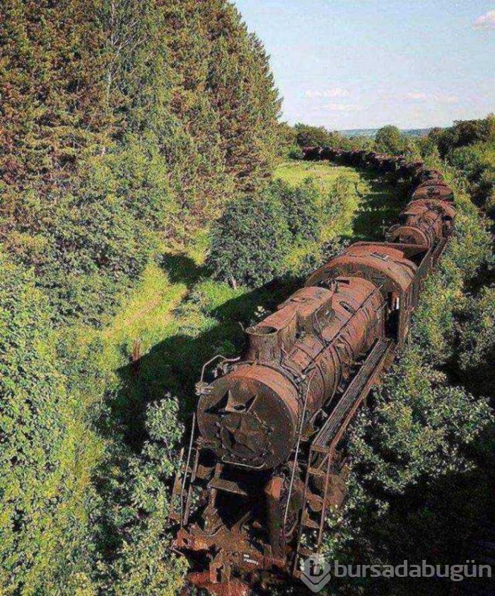 Günün en çok paylaşılan fotoğrafları (02.05.2019)