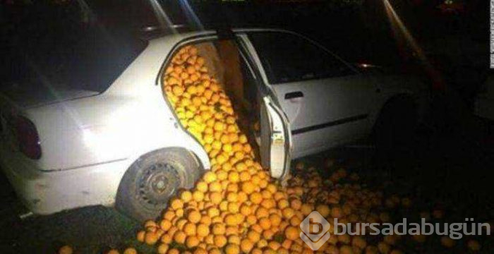 Günün en çok paylaşılan fotoğrafları (02.05.2019)