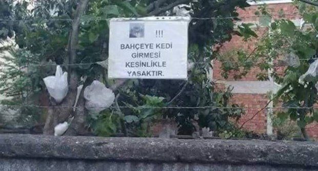 Yurdum insanından ilginç anlar...
