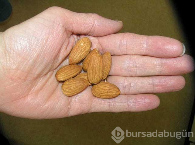 Dünyanın en yararlı besini açıklandı!