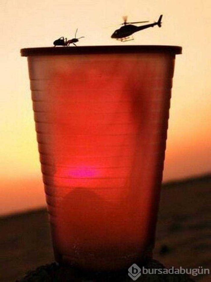 Görenlerin kafasını karıştıran fotoğraflar...
