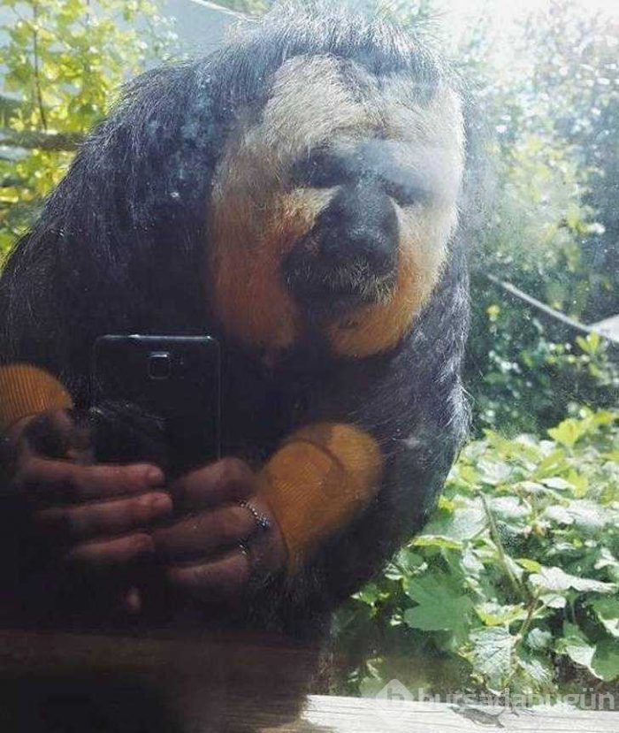 Görenlerin kafasını karıştıran fotoğraflar...
