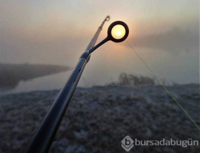 Görenlerin kafasını karıştıran fotoğraflar...
