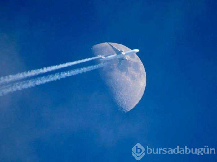 Görenlerin kafasını karıştıran fotoğraflar...
