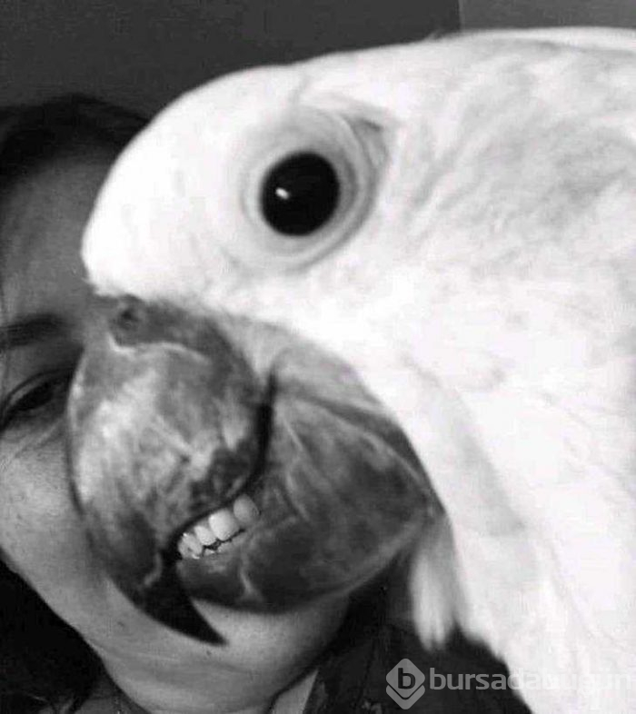 Görenlerin kafasını karıştıran fotoğraflar...
