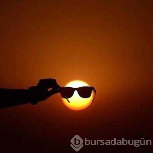 Görenlerin kafasını karıştıran fotoğraflar...
