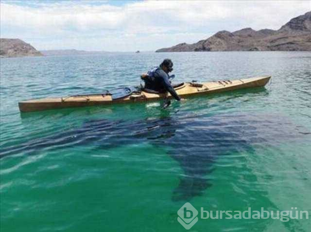 Gerçek olduğuna inanamayacağınız fotoğraflar
