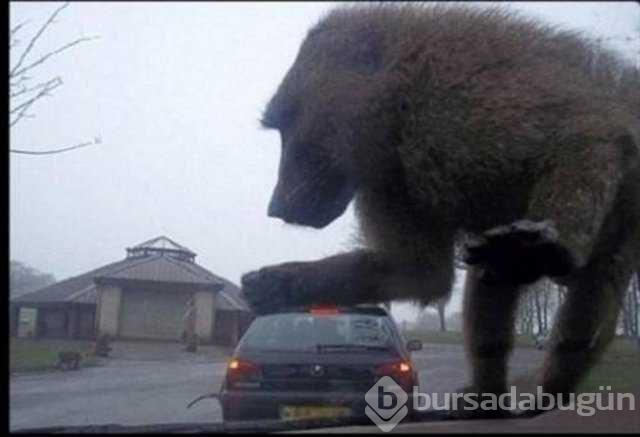 Gerçek olduğuna inanamayacağınız fotoğraflar

