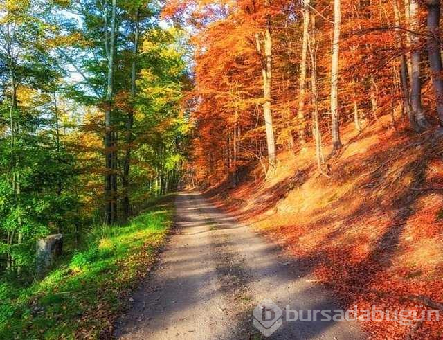 Gerçek olduğuna inanamayacağınız fotoğraflar

