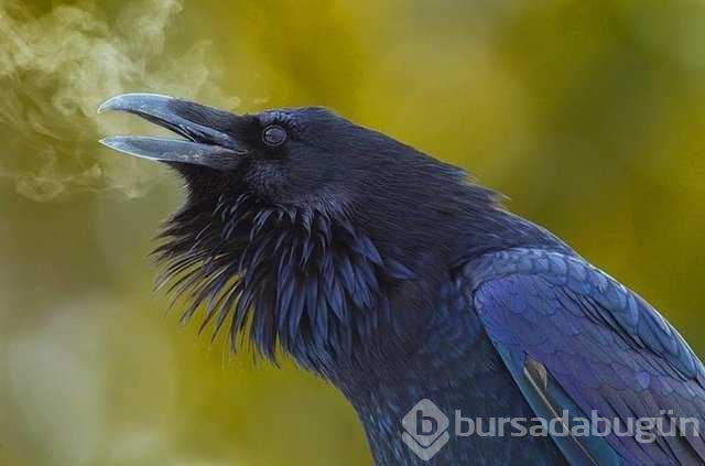 Gerçek olduğuna inanamayacağınız fotoğraflar
