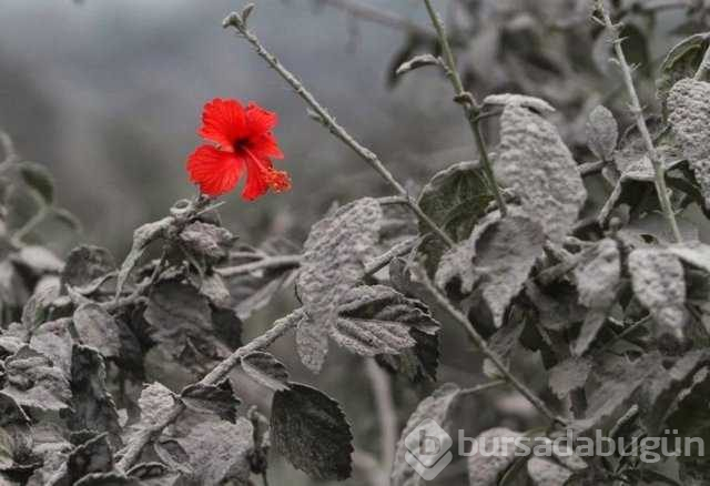 Gerçek olduğuna inanamayacağınız fotoğraflar
