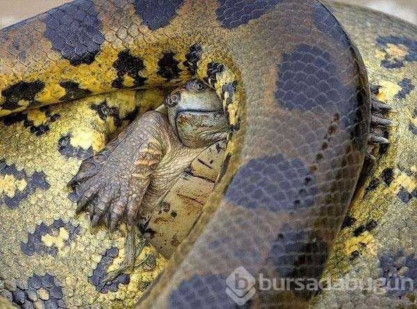 Doğanın korkutan yüzü...
