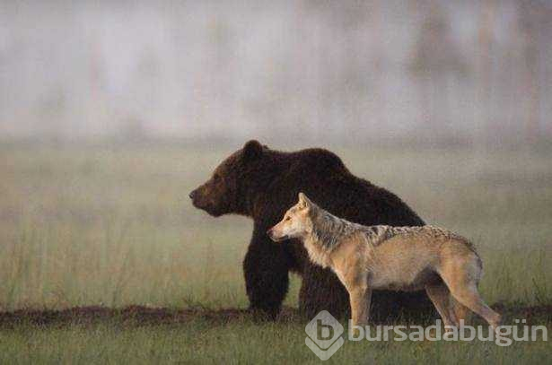 Doğanın korkutan yüzü...
