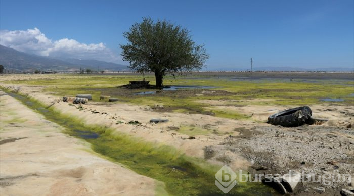  Göle dönen Amik Ovası'ndaki su seviyesi azaldı 