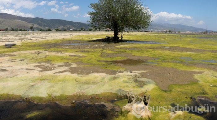  Göle dönen Amik Ovası'ndaki su seviyesi azaldı 