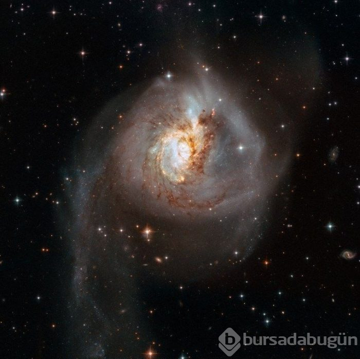 Hubble'dan nefes kesen kare
