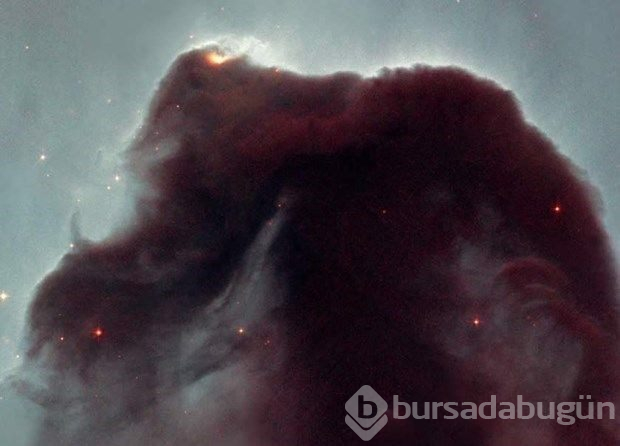 Hubble'dan nefes kesen kare