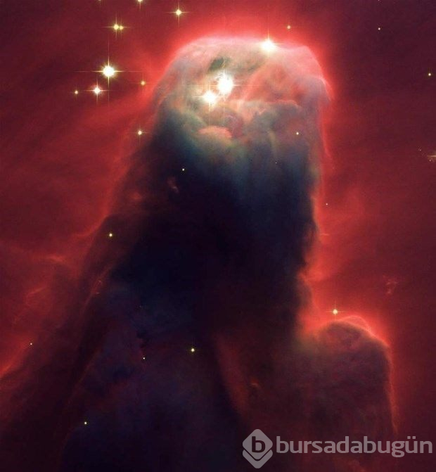 Hubble'dan nefes kesen kare
