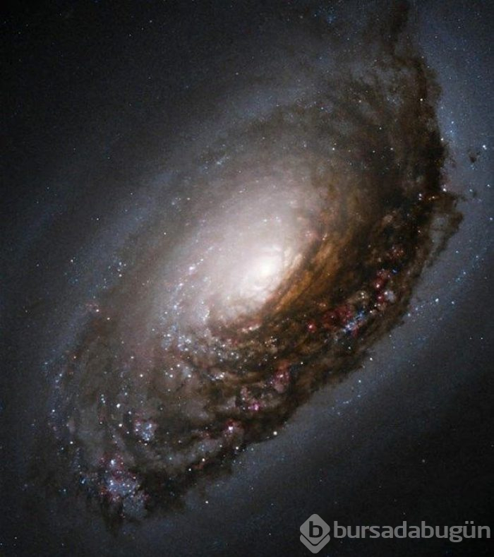Hubble'dan nefes kesen kare