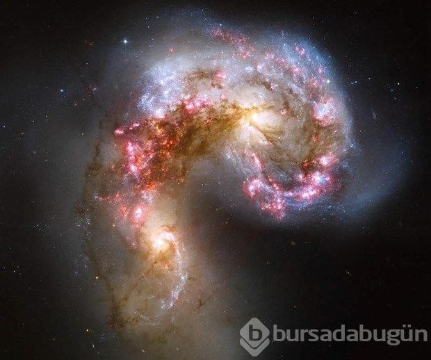 Hubble'dan nefes kesen kare