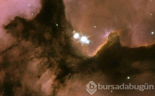 Hubble'dan nefes kesen kare