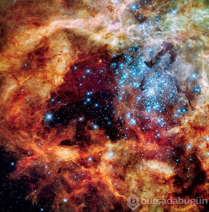 Hubble'dan nefes kesen kare