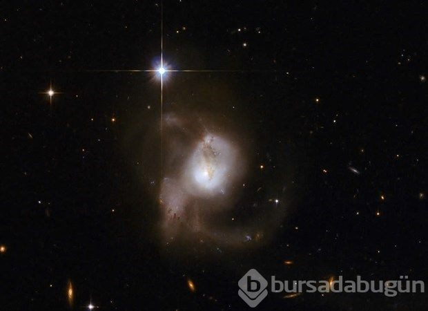 Hubble'dan nefes kesen kare