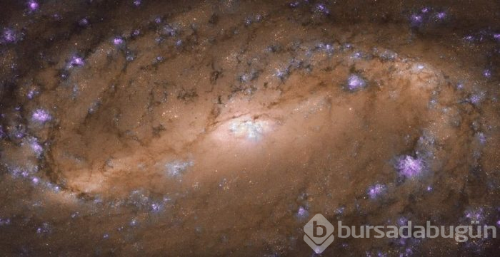 Hubble'dan nefes kesen kare